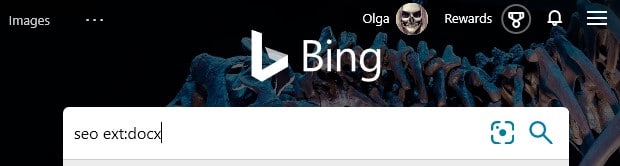 The Bing search operator ext: with an example search term typed into the search box in Bing 
