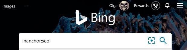 The Bing search command inanchor: with an example search term “seo” typed into the search box in Bing.