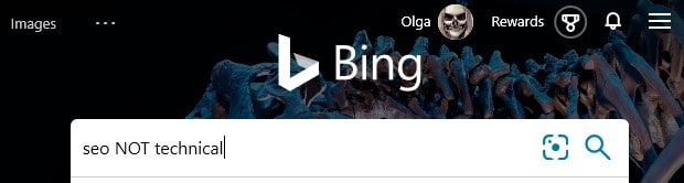 The Bing search operator NOT with an example search term in the search box in Bing