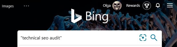 The Bing search operator " " with an example search phrase in the search box in Bing