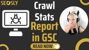Crawl Stats Report in GSC