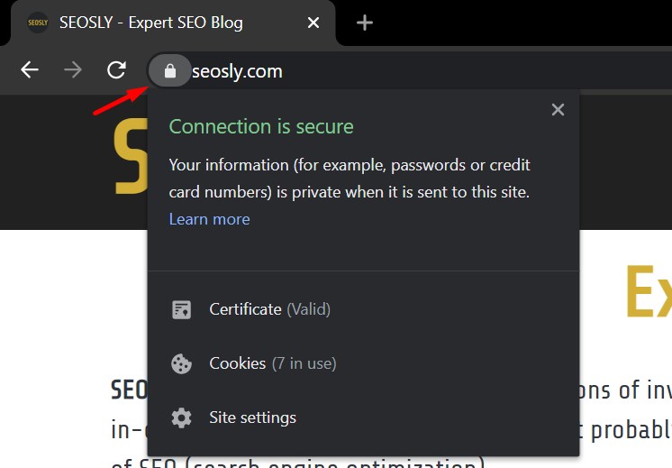 Page Experience Audit: Checking a site's connection