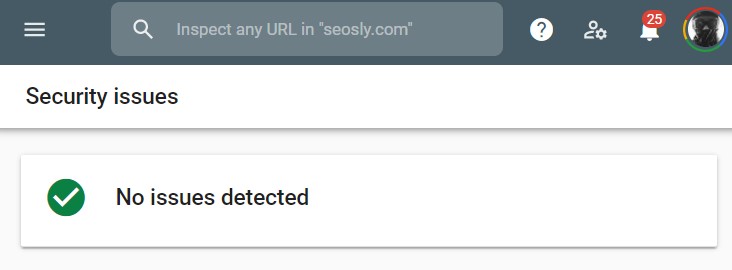 Google Page Experience Audit: Security issues in Google Search Console
