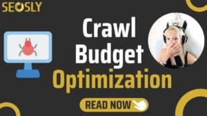 Crawl budget optimization