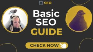 Basic SEO Guide