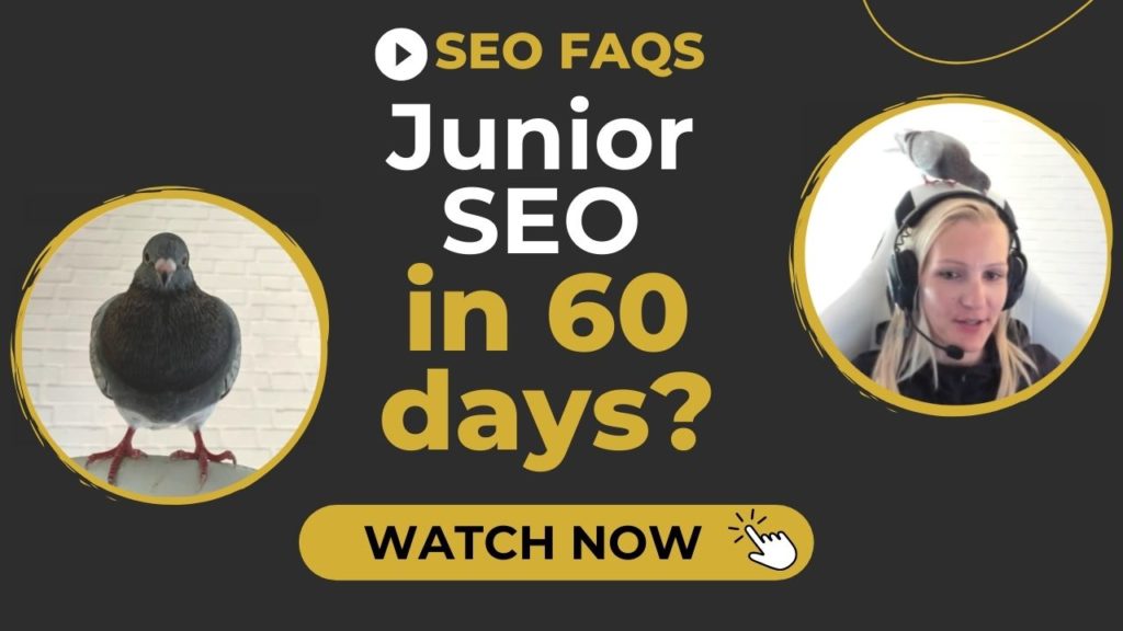learn seo in two months