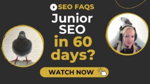 Can I learn SEO in two months?
