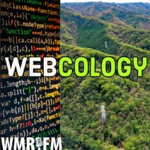 Webcology SEO podcast
