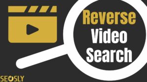 Reverse video search