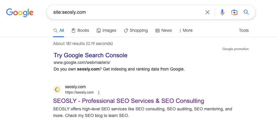 Doing a site: search to check how many pages are indexed in Google