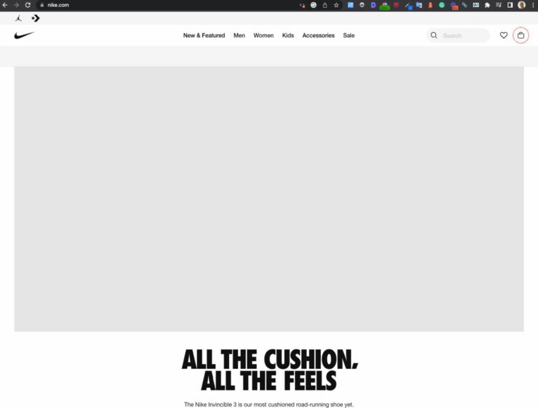 Website Without JavaScript - SEOSLY - Olga Zarr