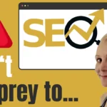 SEO Agency vs SEO Consultant