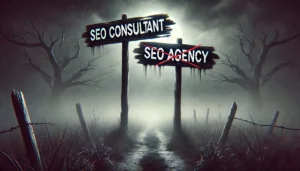 - SEOSLY - Olga Zarr SEO agency vs SEO consultant