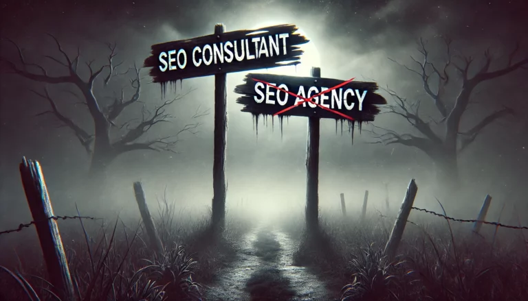 - SEOSLY - Olga Zarr SEO agency vs SEO consultant